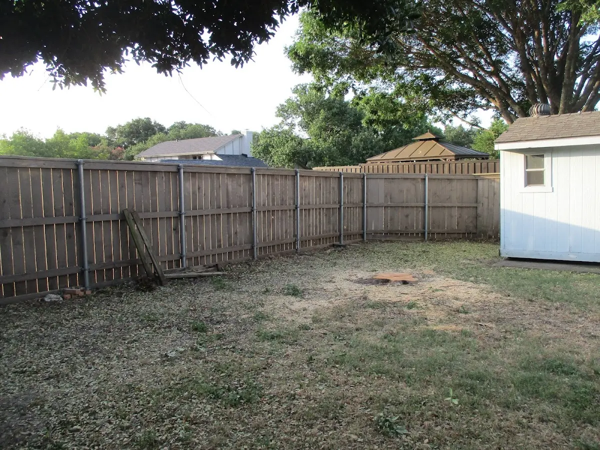Cleared yard after professional tree removal in Belmont